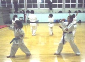 yuzenkai