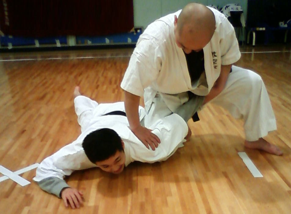 seienchin bunkai