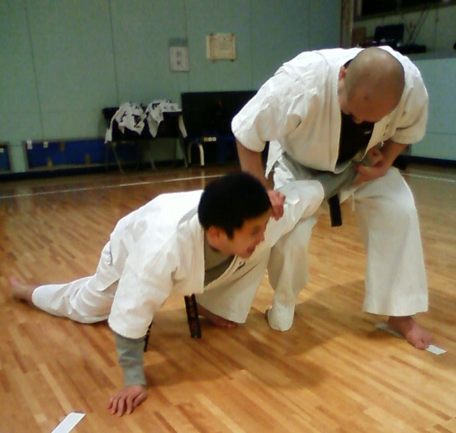 seienchin bunkai