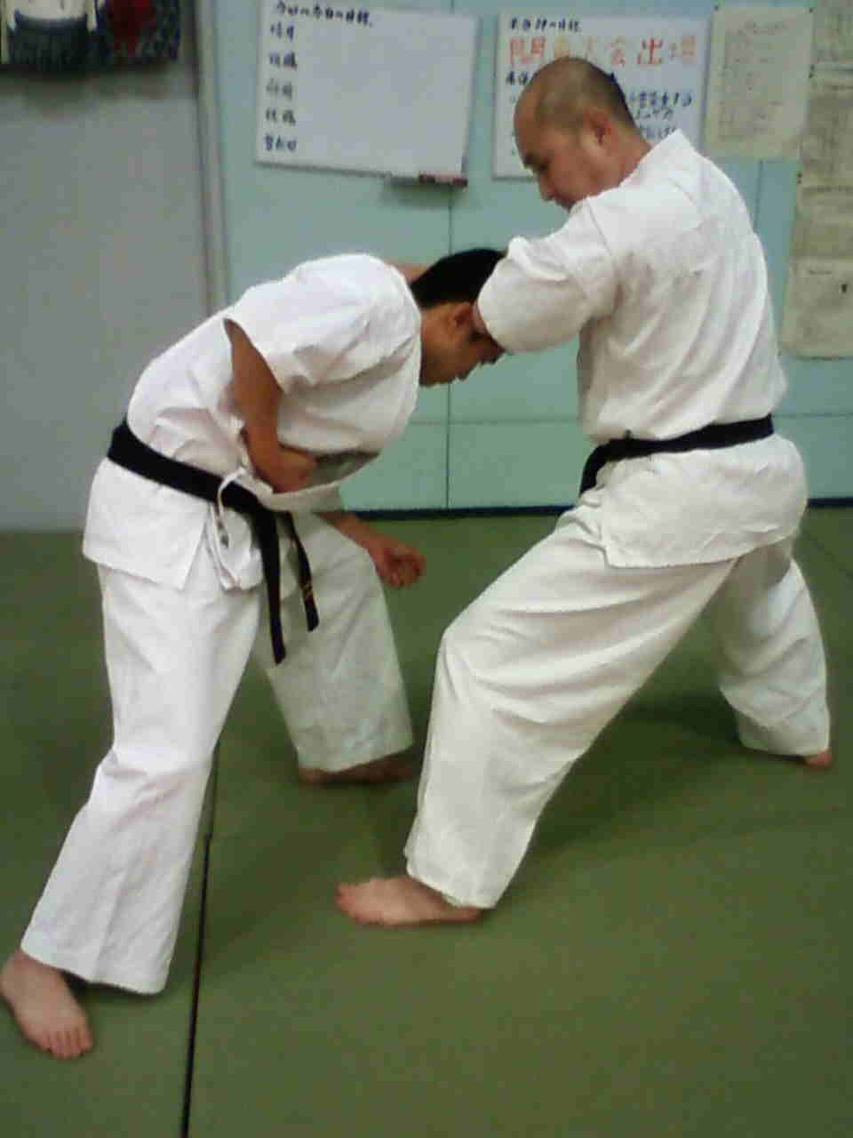 sepai bunkai