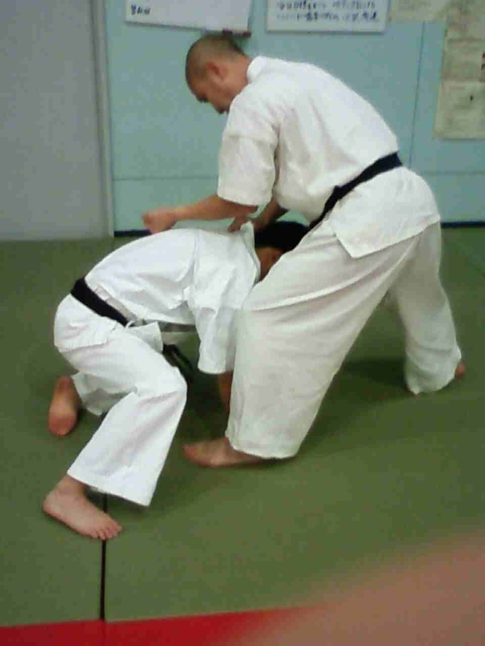 sepai bunkai