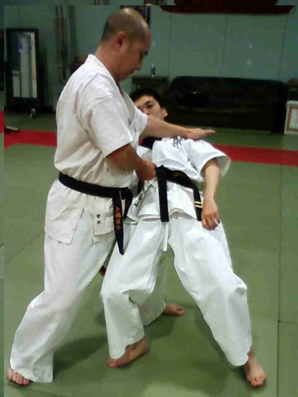 sepai bunkai