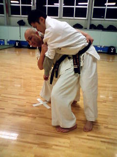 sesan bunkai