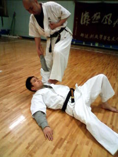 sesan bunkai